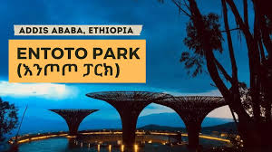 Addis Ababa Ethiopia food tour trendy live music in 1 hour