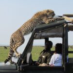 best kenya and Tanzania tour  in 2 weeks