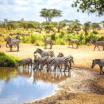 best kenya and Tanzania tour  in 2 weeks