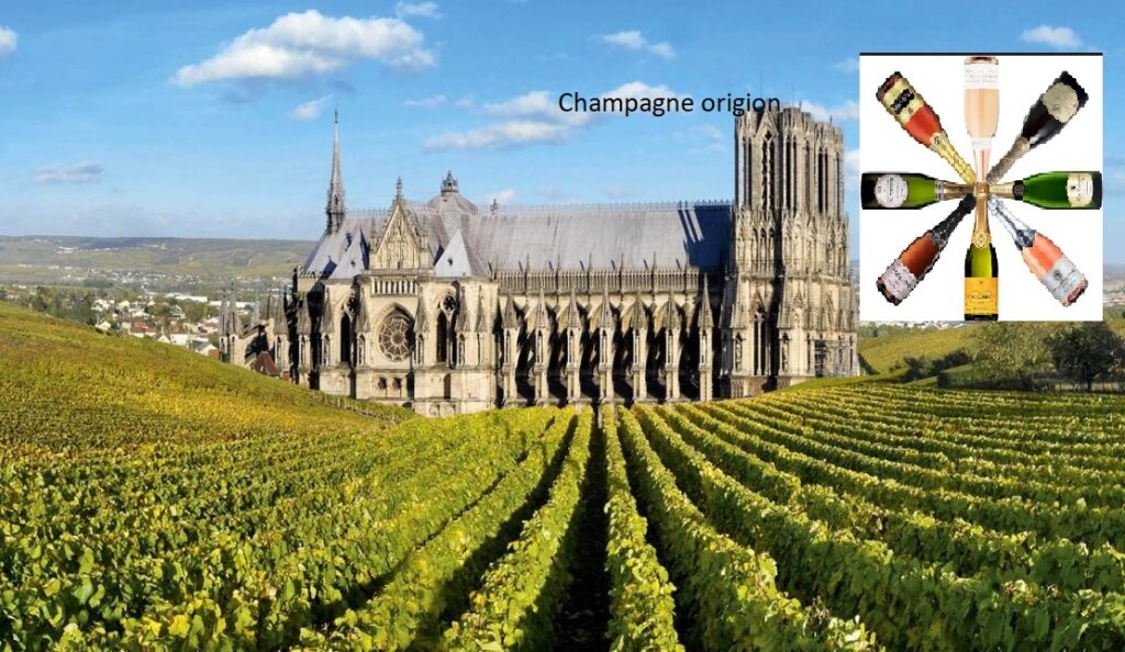 castle infront of the champagne plantations in Reims