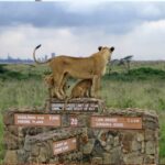 best kenya and Tanzania tour  in 2 weeks
