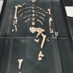 Addis Ababa in 5 hours