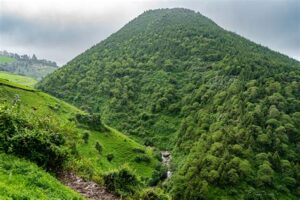 green mountain near menagesha suba forest Hiking start